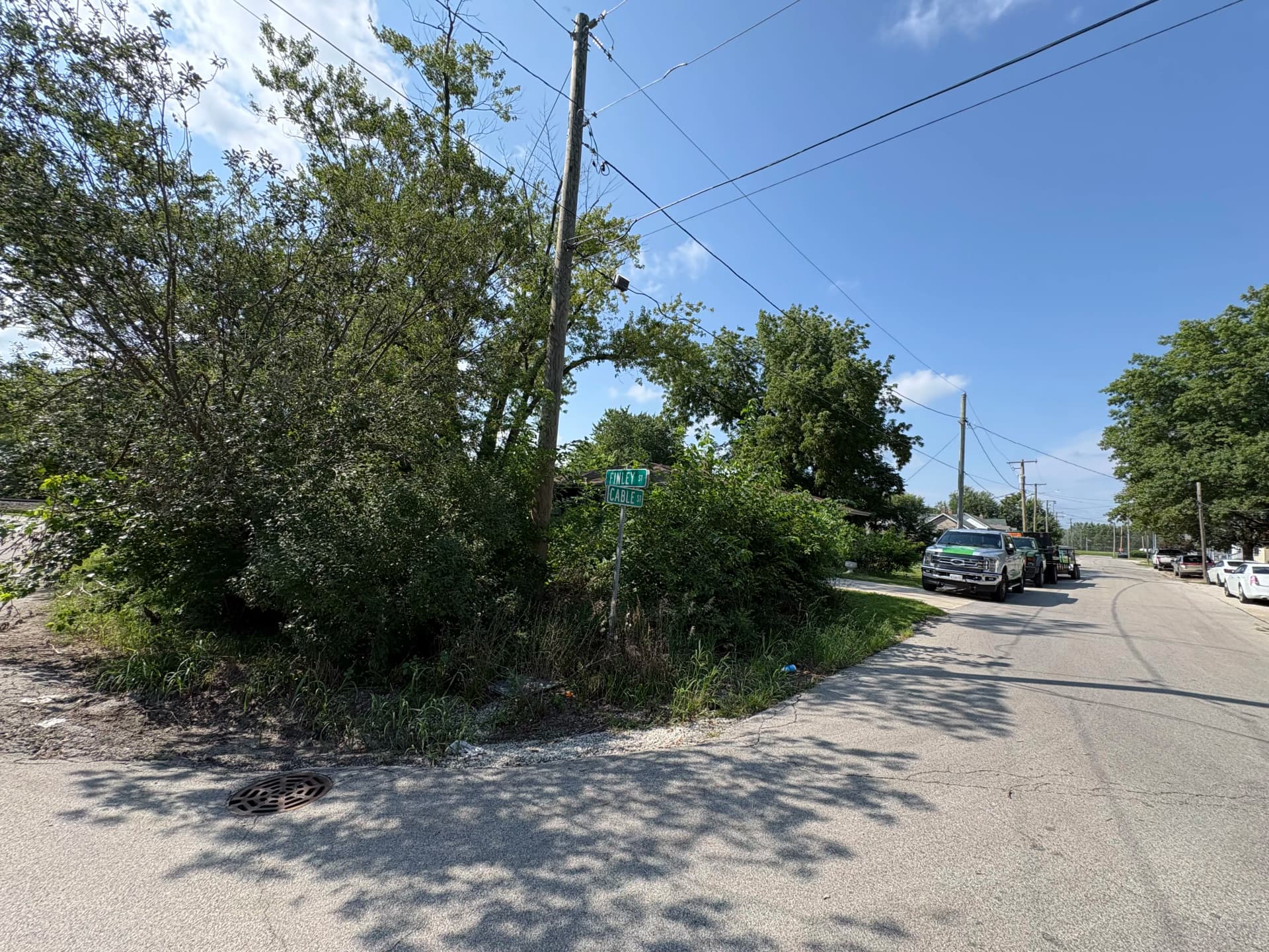 Gallery photos for Heavy Brush and Overgrowth Cleared From a Residential Property: Image #6