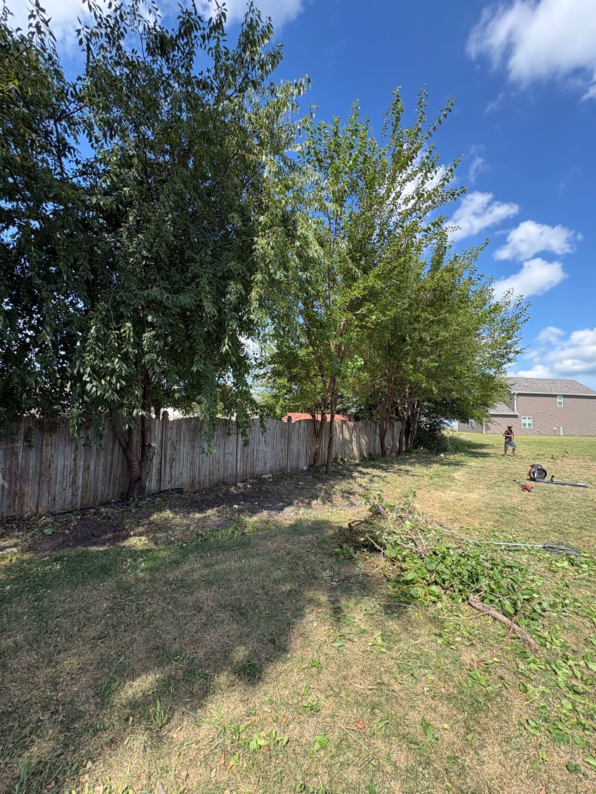 Gallery photos for Overgrown Fence Lines Cleared and Easy to Maintain Again: Image #1