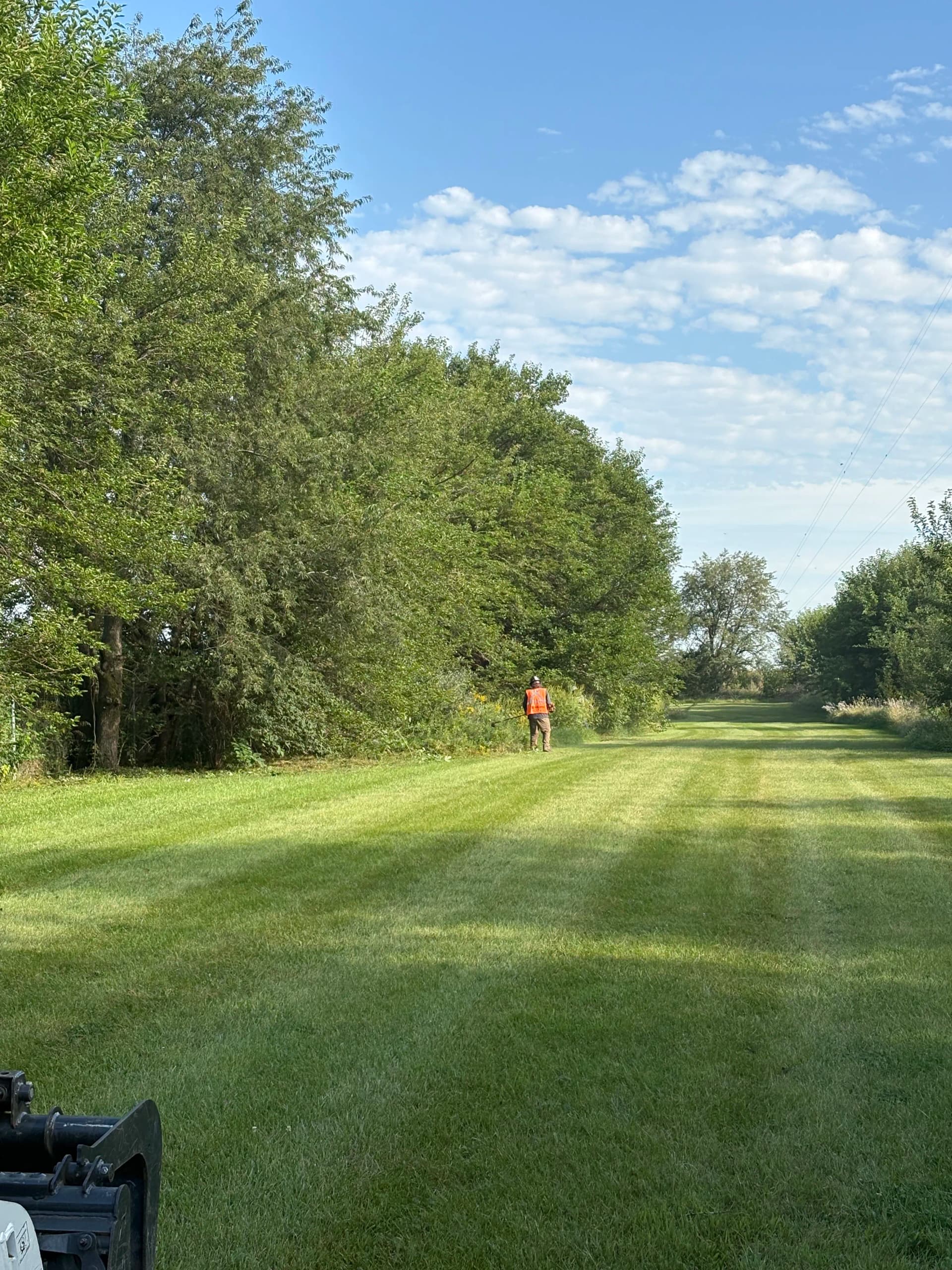 Gallery photos for Overgrown Fence Lines Cleared and Easy to Maintain Again: Image #2
