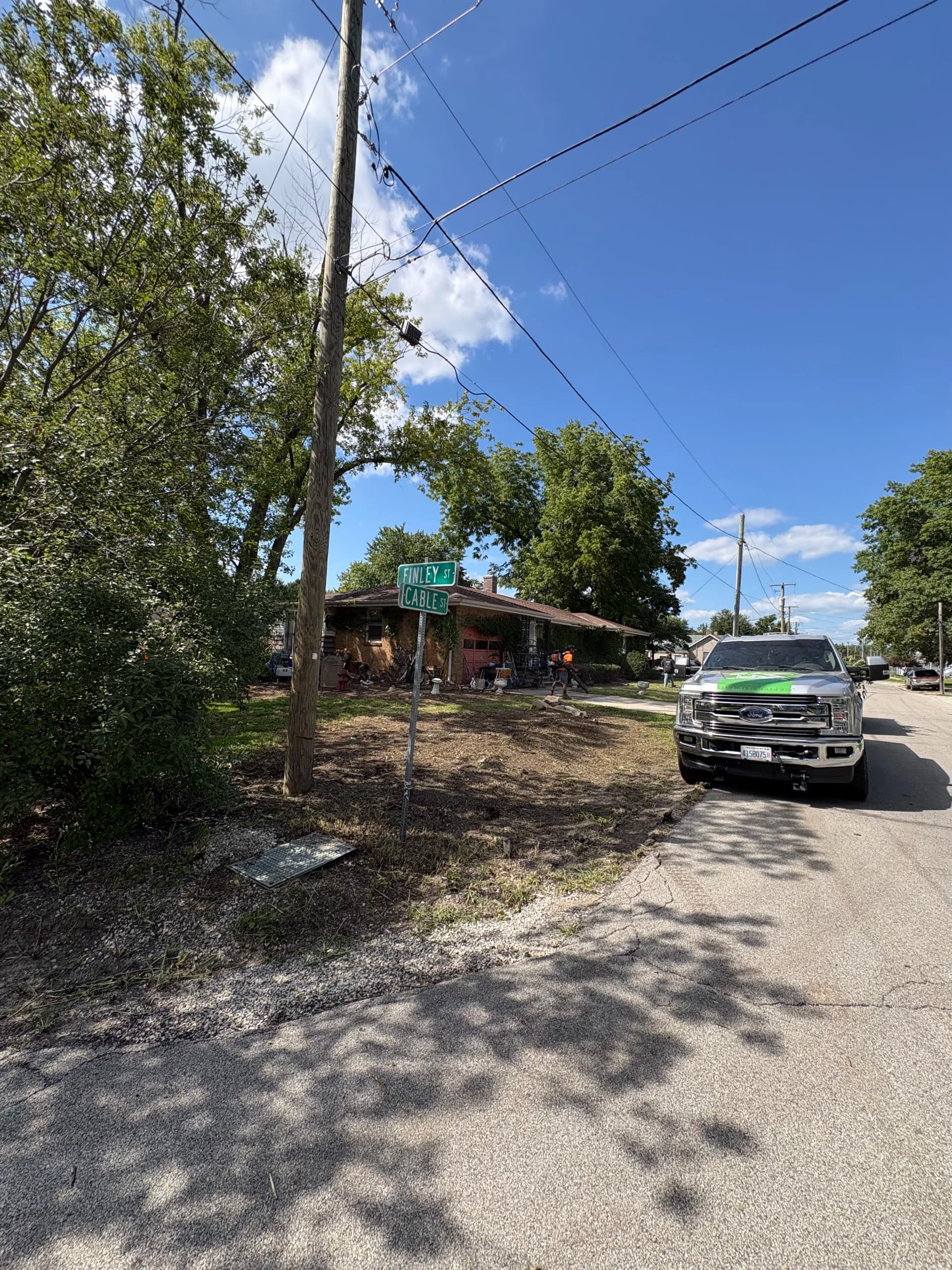 Gallery photos for Heavy Brush and Overgrowth Cleared From a Residential Property: Image #7