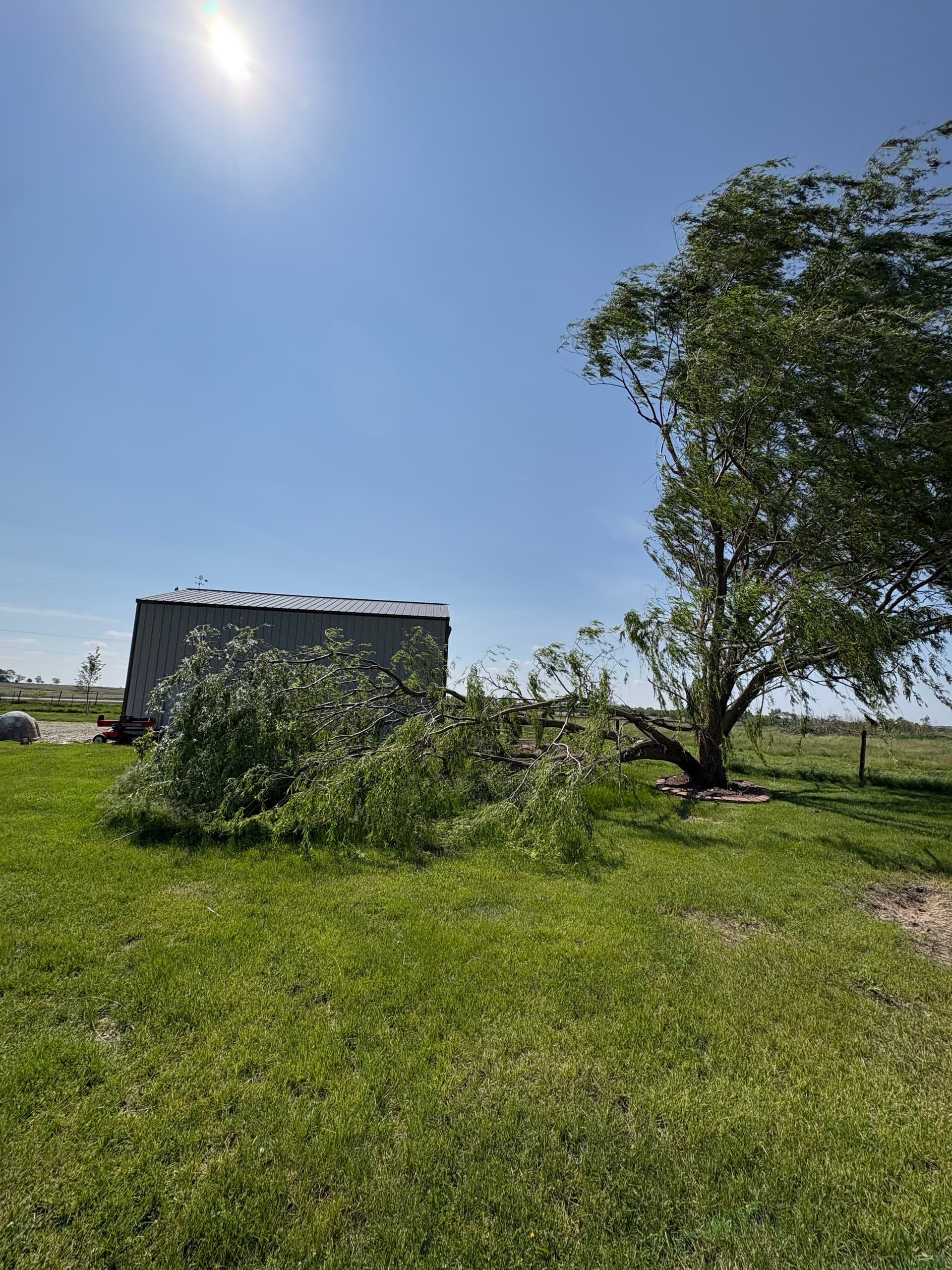 Storm Damage Tree Removal and Full Property Cleanup