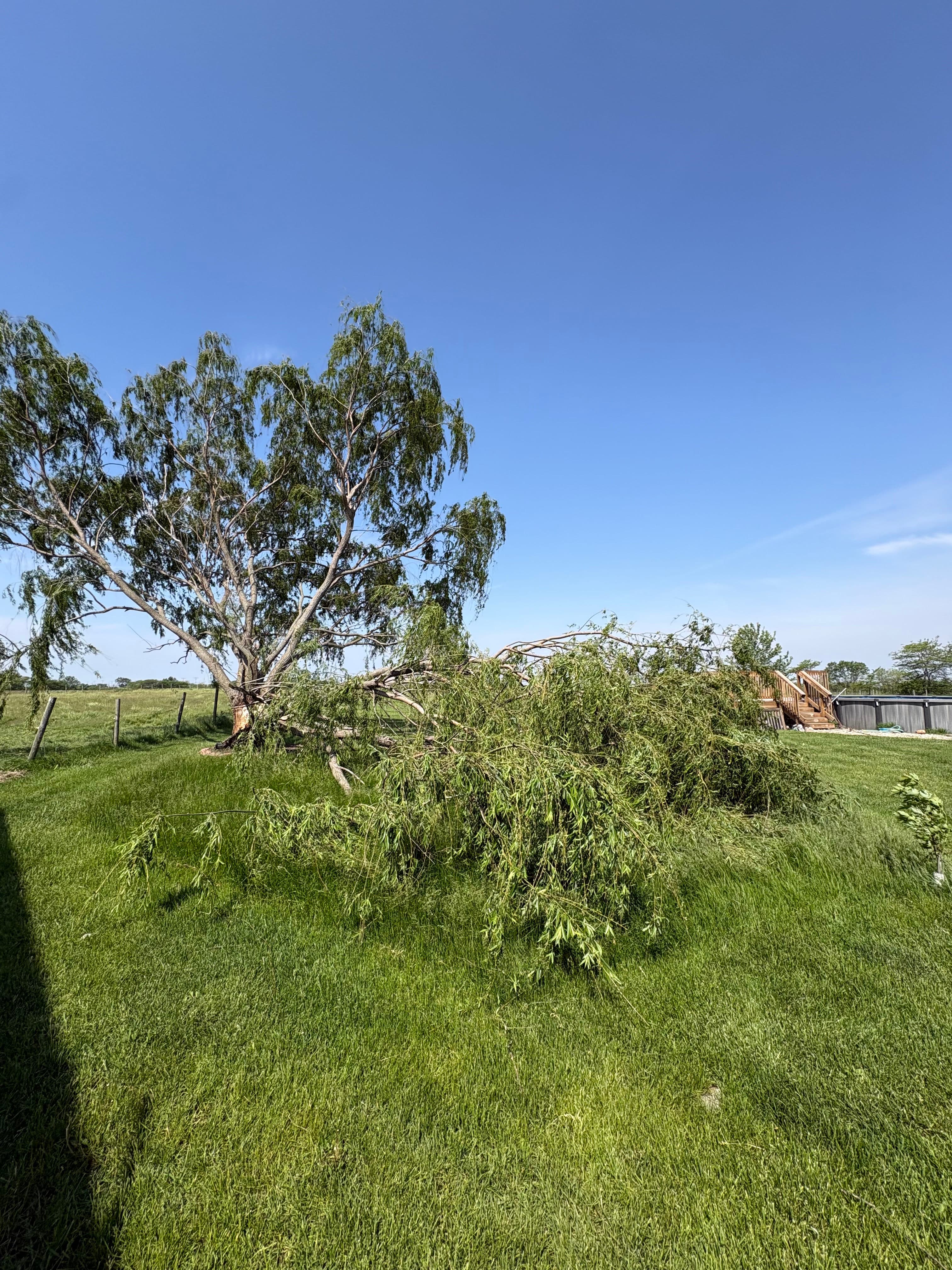 Project Storm Damage Tree Removal and Full Property Cleanup image