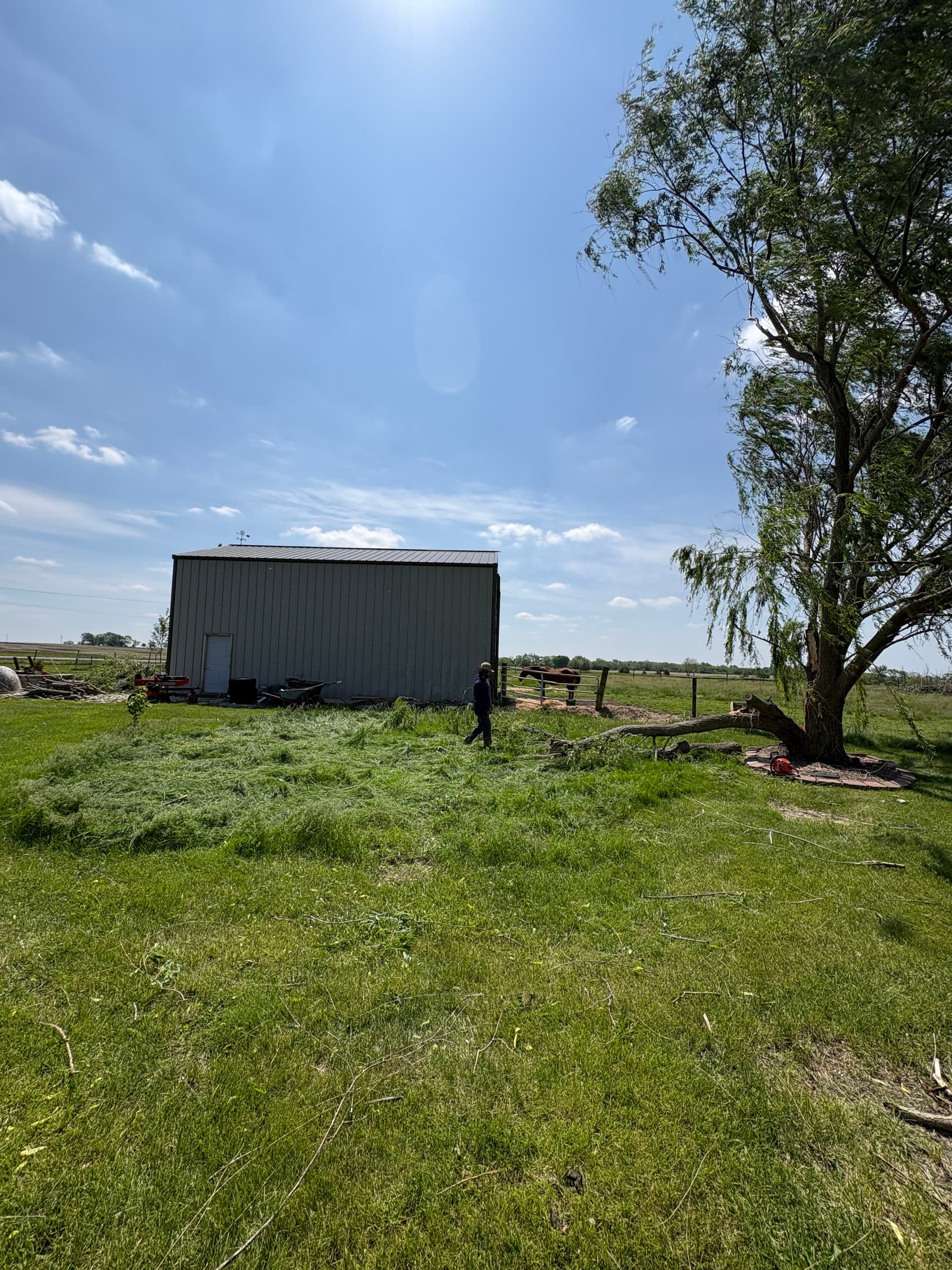 Storm Damage Tree Removal and Full Property Cleanup