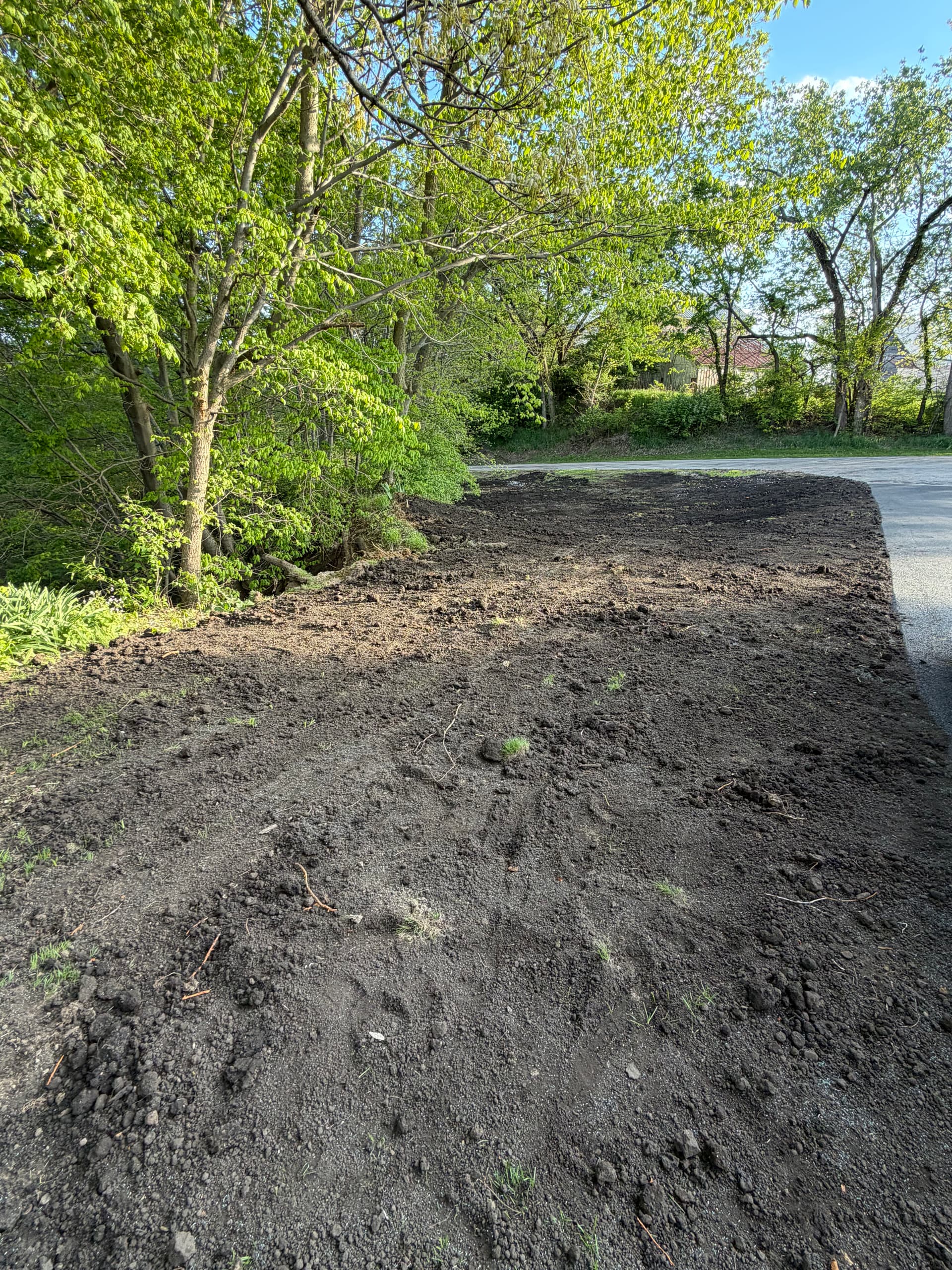 Gallery photos for Backfill and Regrade After New Asphalt Driveway Installation: Image #8