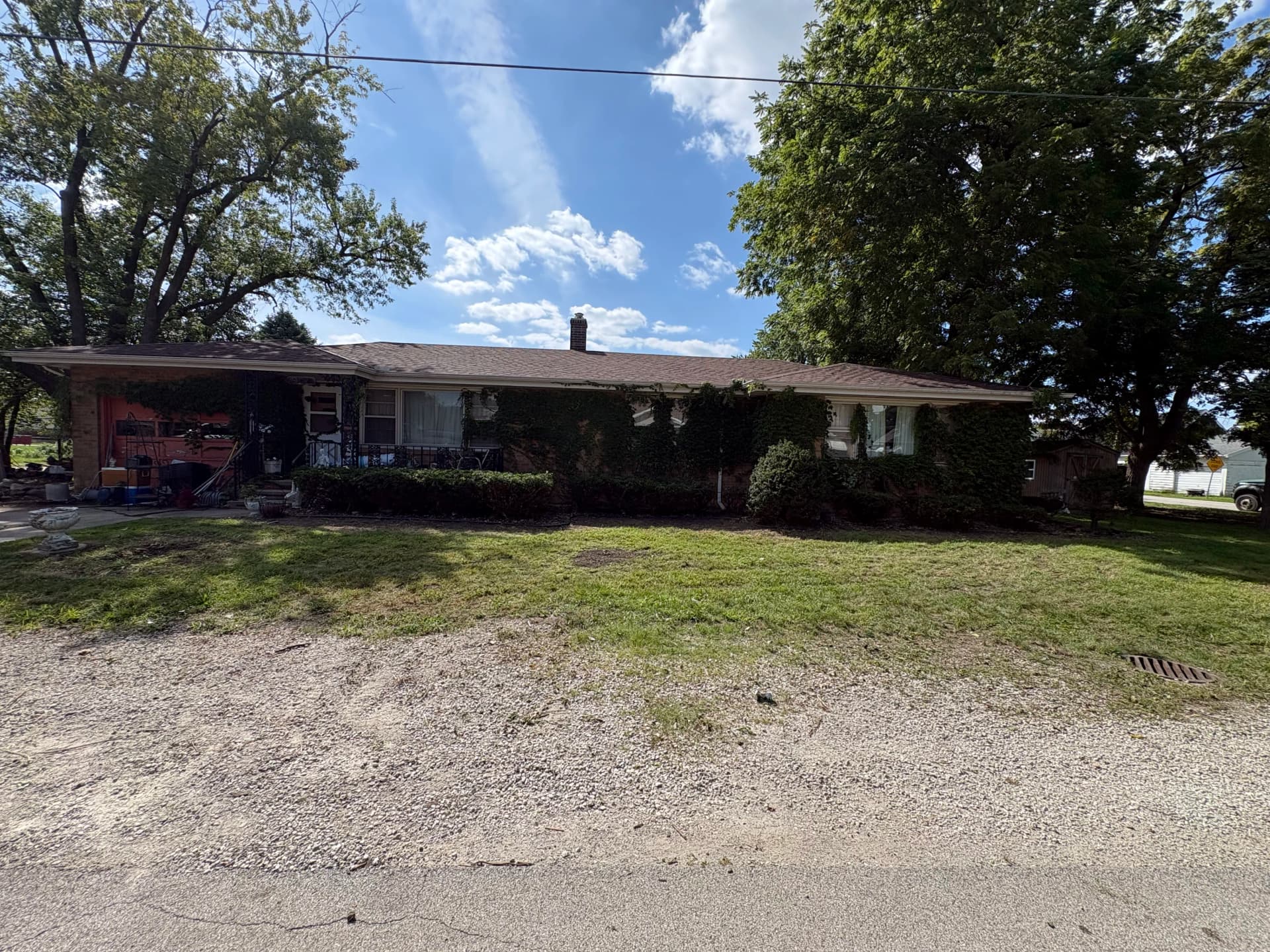 Gallery photos for Heavy Brush and Overgrowth Cleared From a Residential Property: Image #9