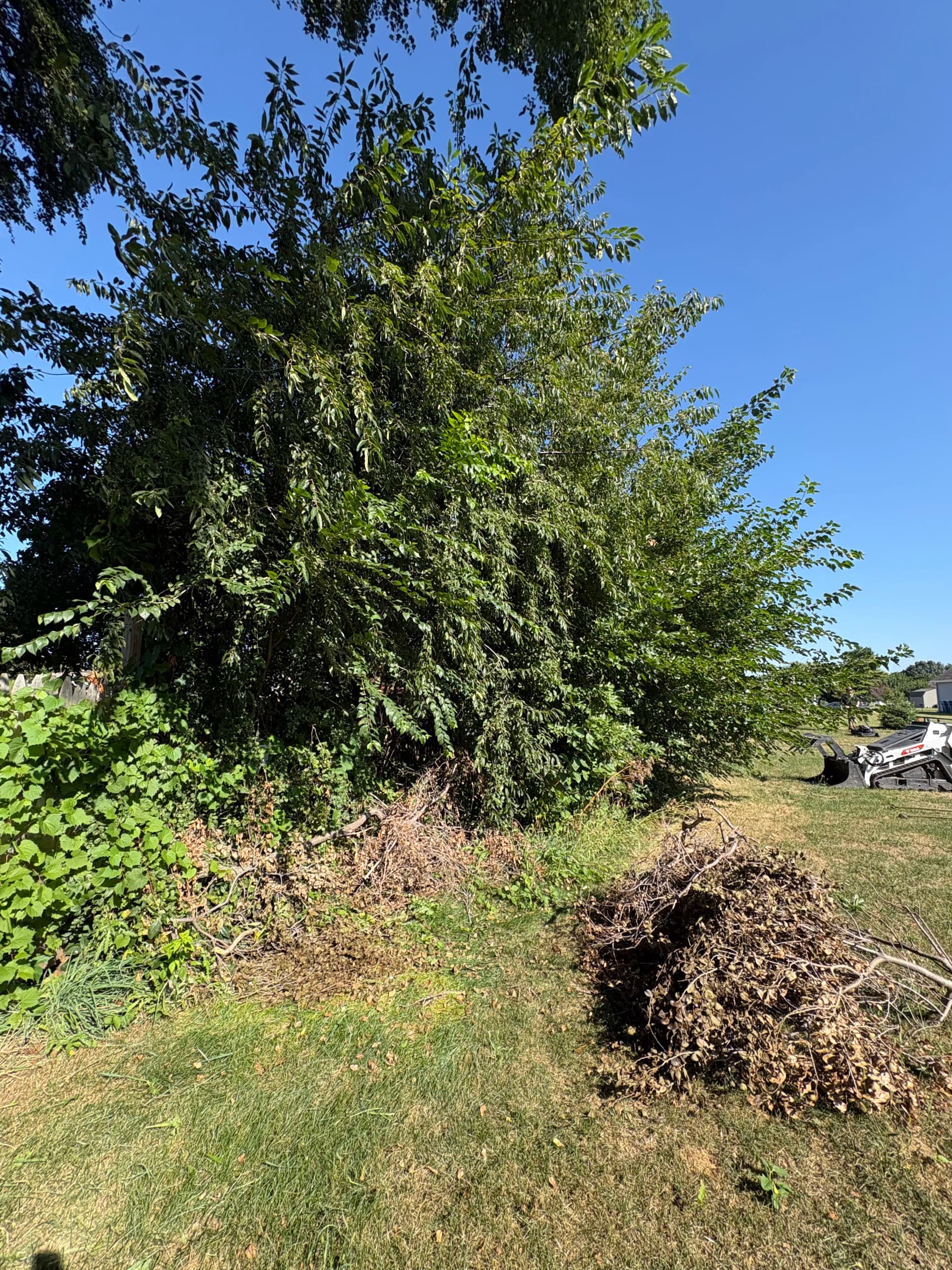Overgrown Fence Lines Cleared and Easy to Maintain Again image
