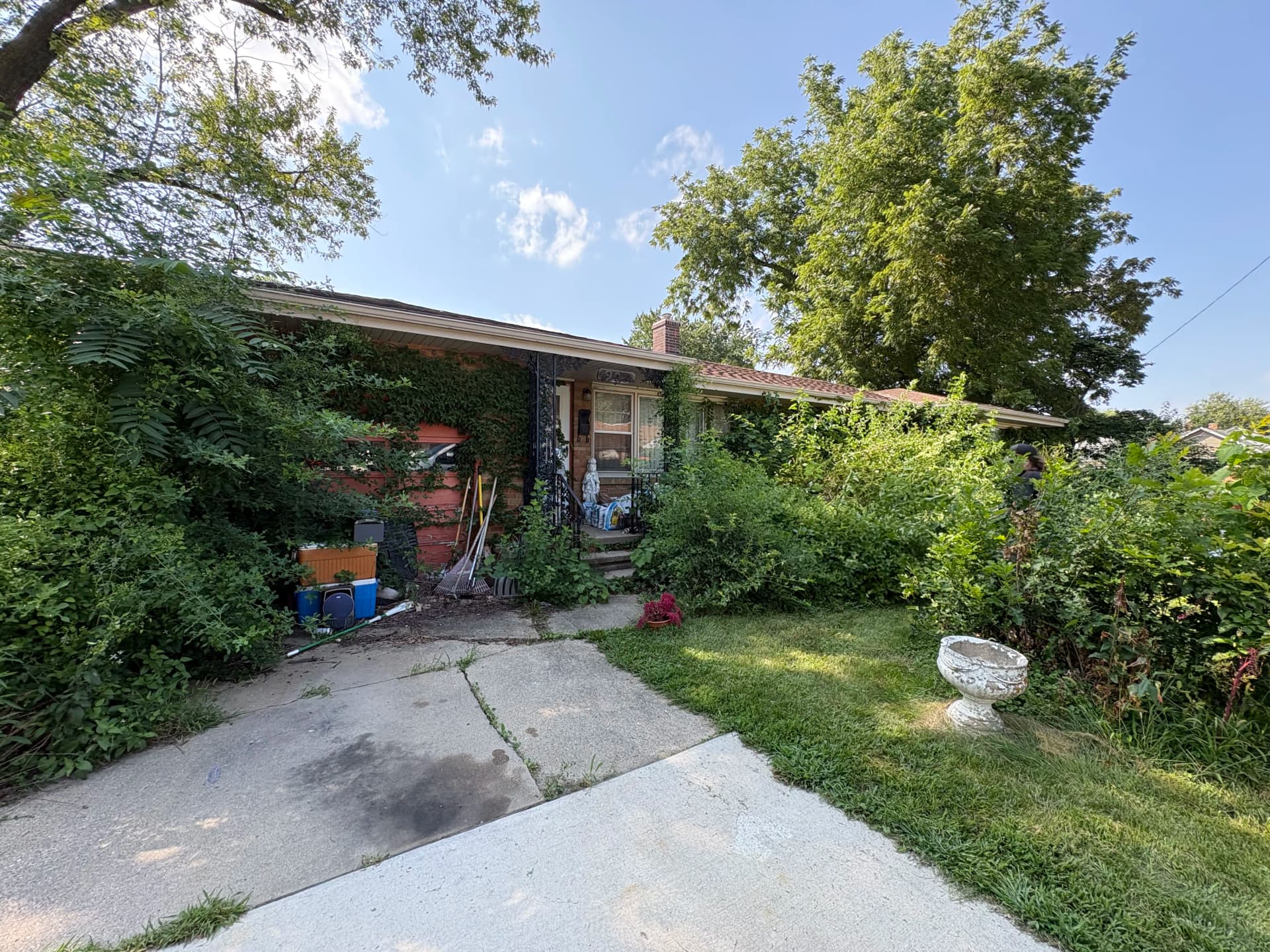 Gallery photos for Heavy Brush and Overgrowth Cleared From a Residential Property: Image #8