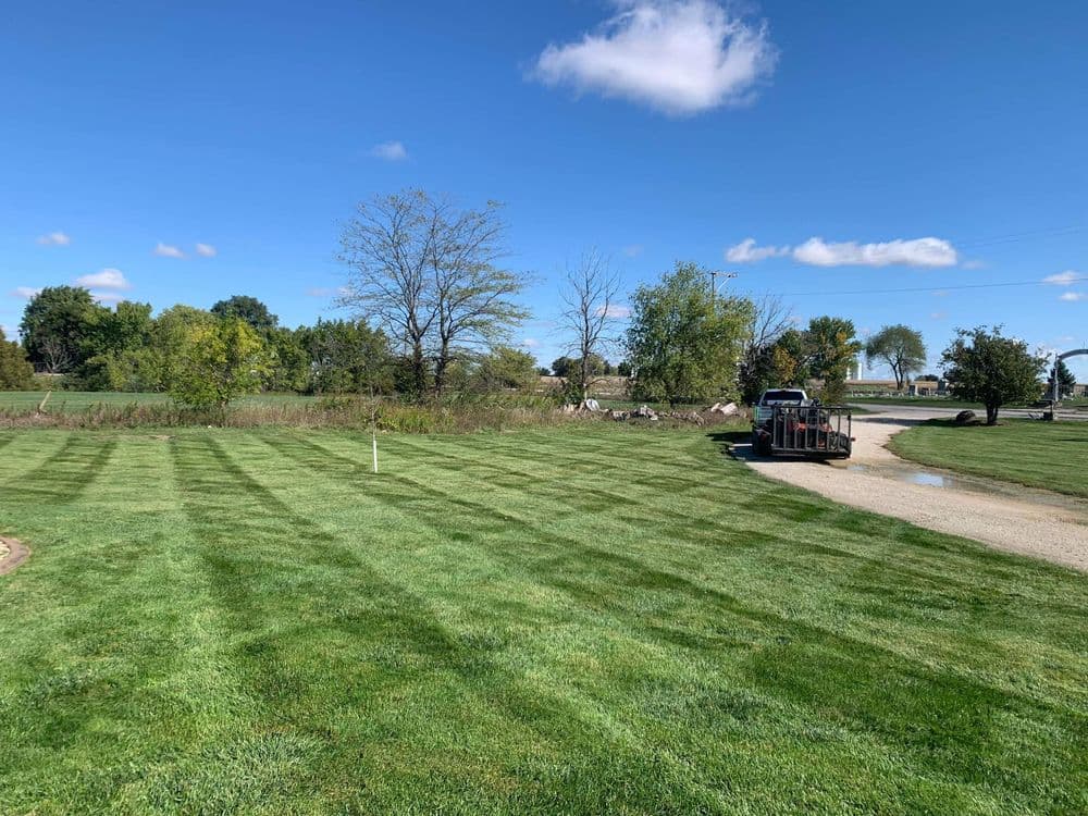 Lush green lawn with striped mowing patterns under a clear blue sky and surrounding trees.