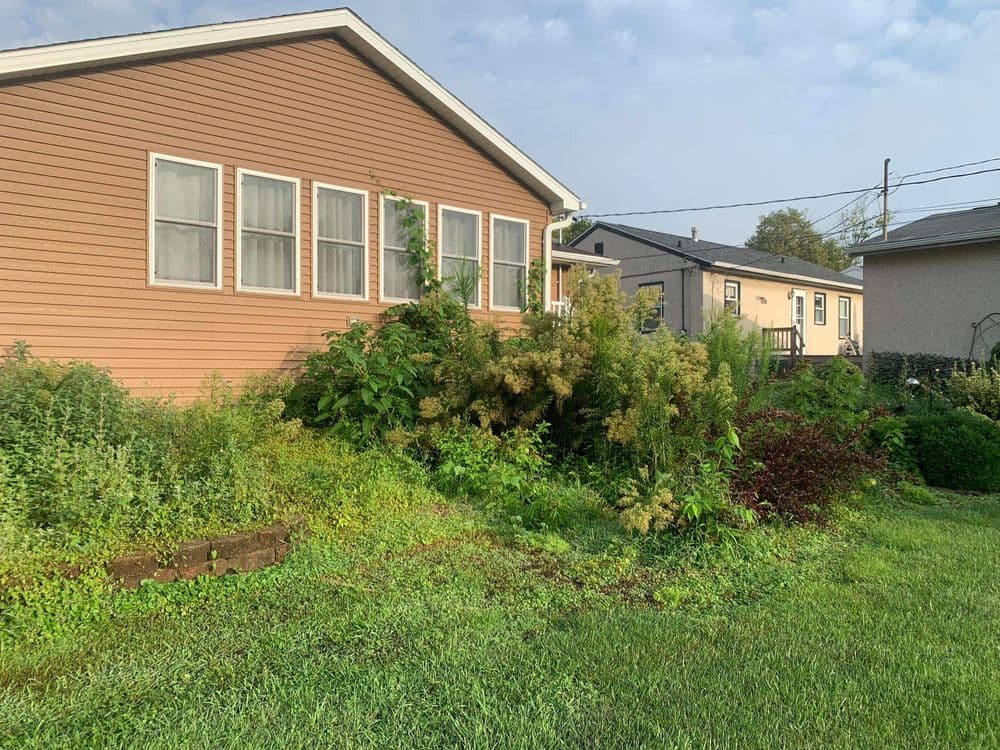 Yard Transformation in Wedron IL