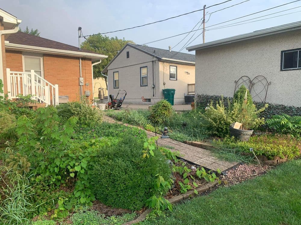 Yard Transformation in Wedron IL