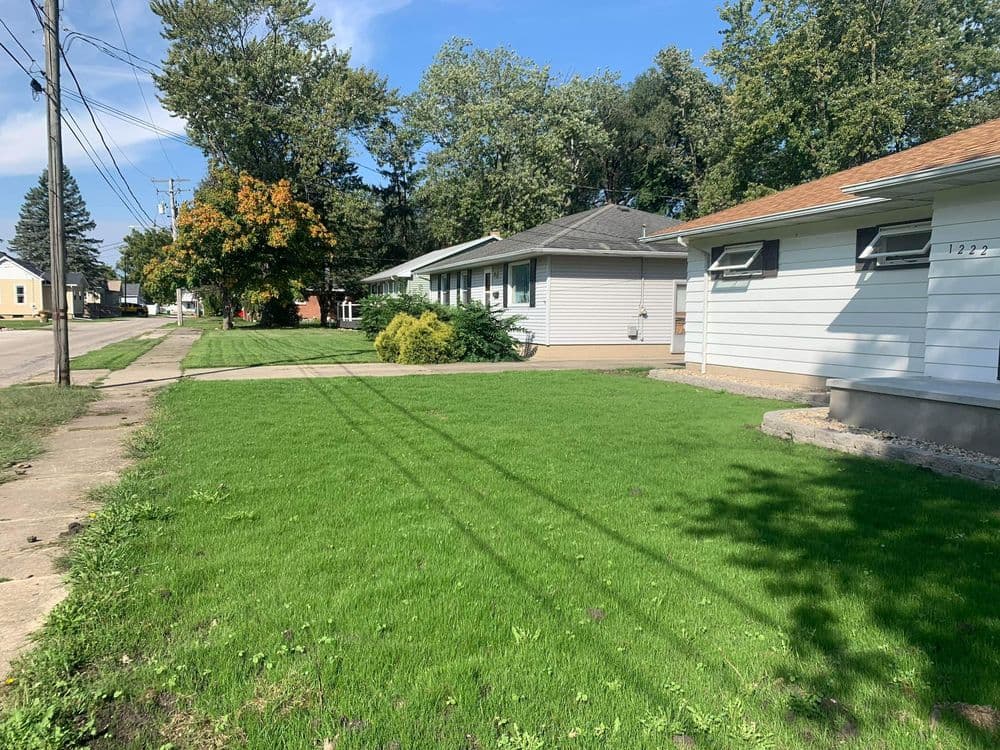 Lush green lawn in a residential neighborhood with houses and trees on a sunny day.