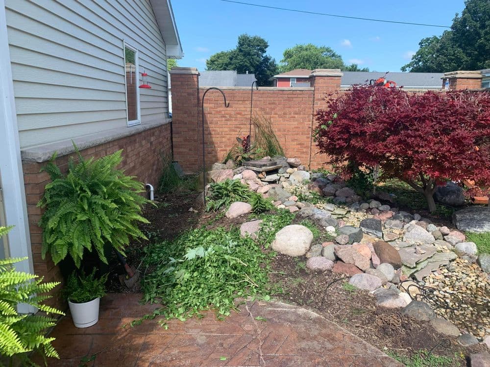 Backyard Pond Transformation in Troy Grove IL
