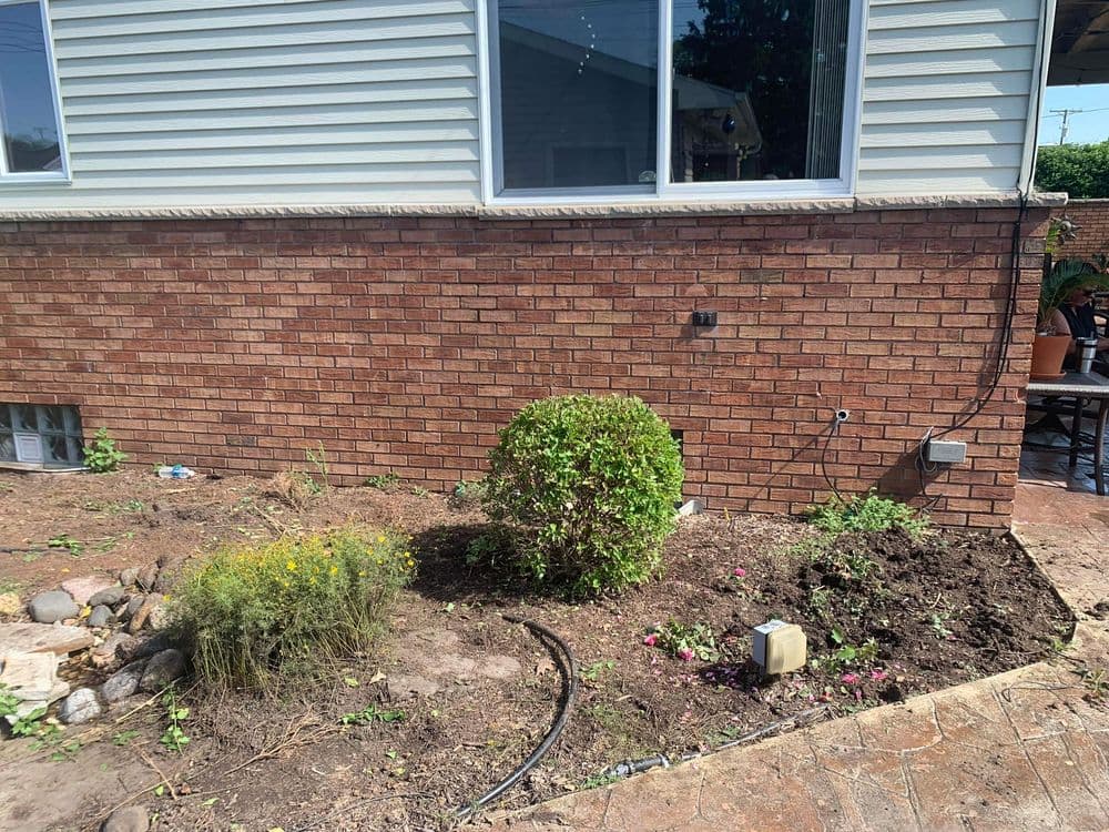 Well-maintained garden area with shrubs and flowers beside a brick house exterior.