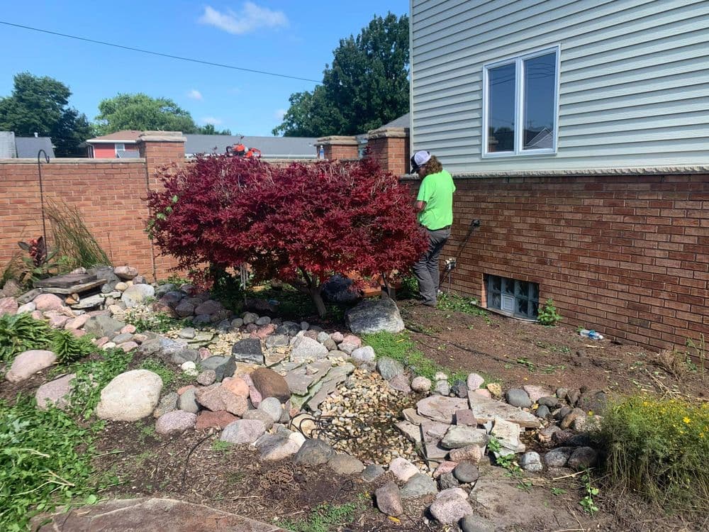 Gallery photos for Backyard Pond Transformation in Troy Grove IL: Image #9