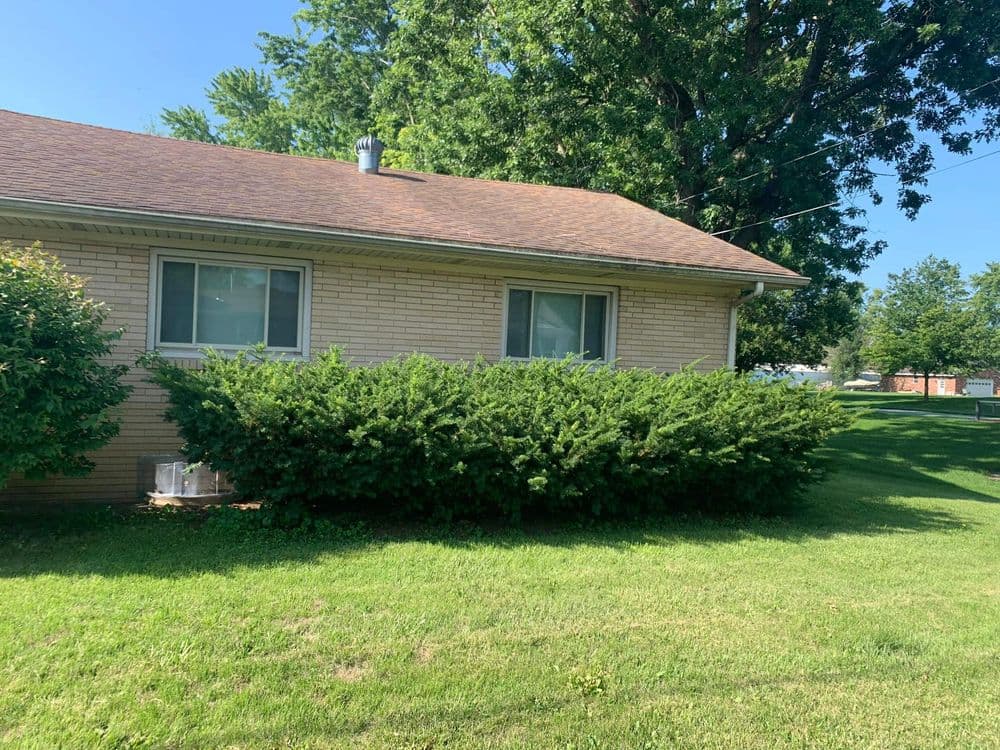 Gallery photos for Bush Trimming and Lawn Care in Somonauk: Image #5