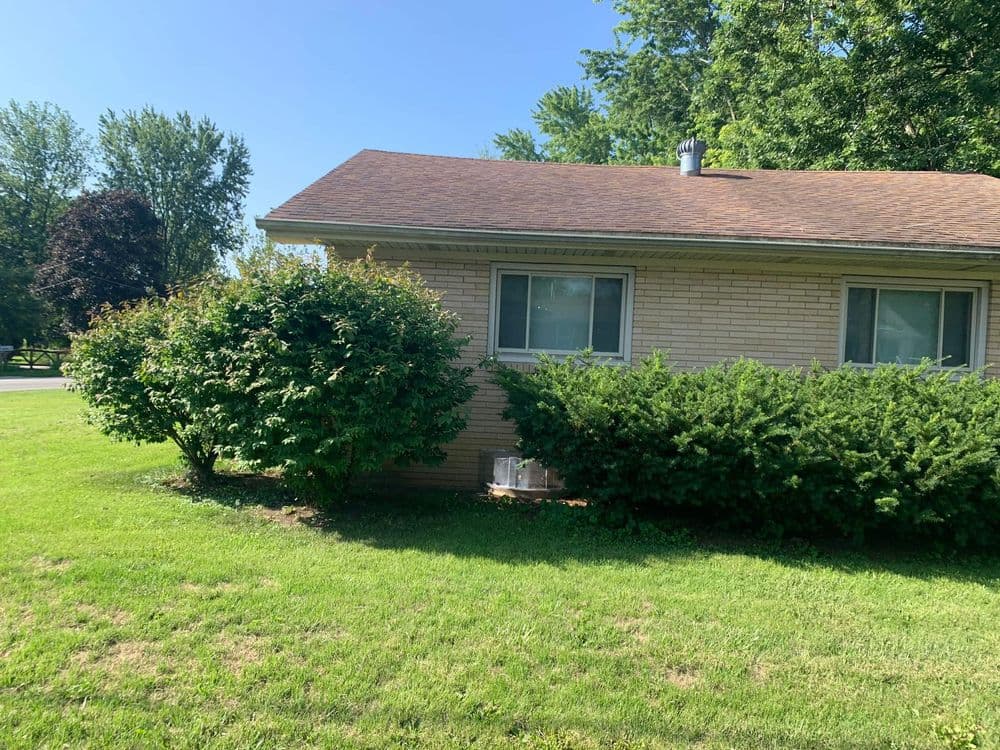 Bush Trimming and Lawn Care in Somonauk