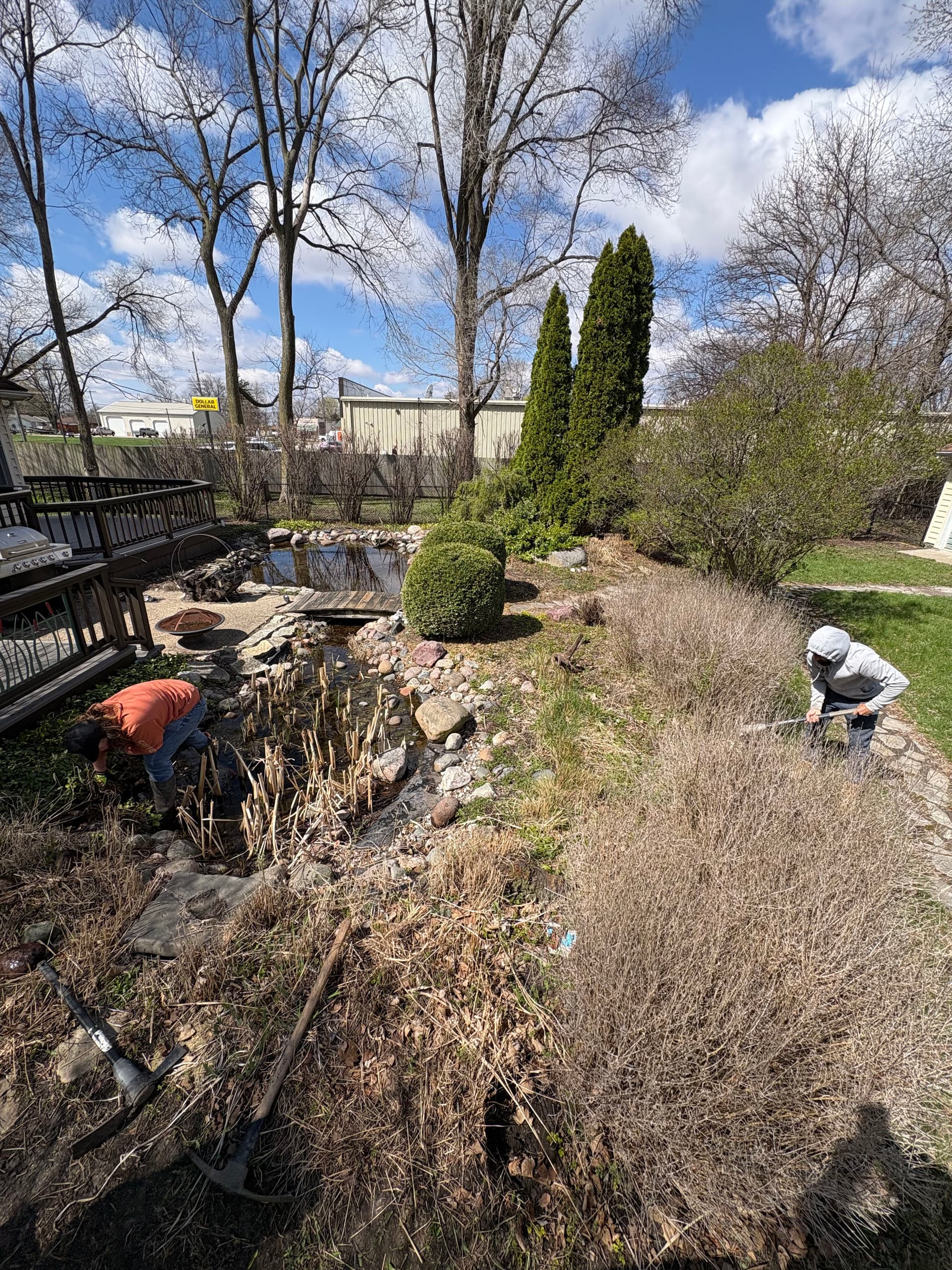 Old Backyard Pond Torn Out and Filled for a Clean Slate image