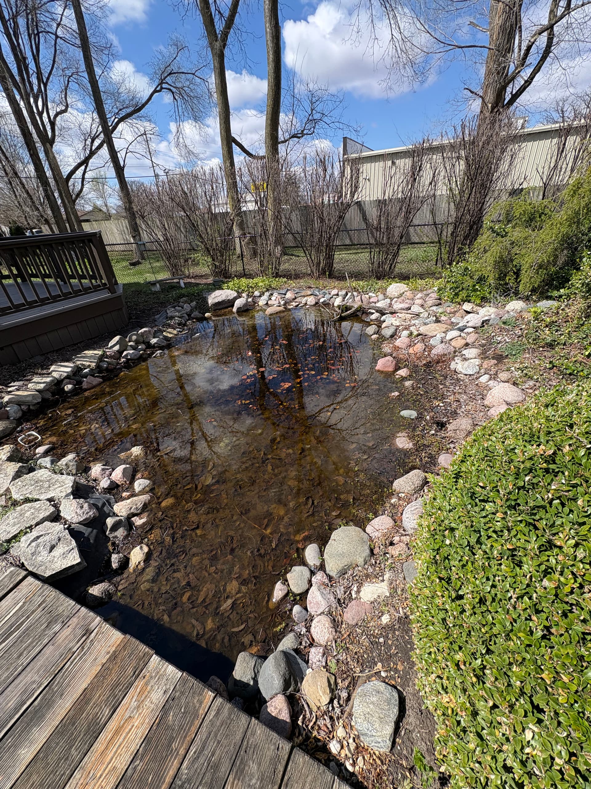 Gallery photos for Old Backyard Pond Torn Out and Filled for a Clean Slate: Image #1